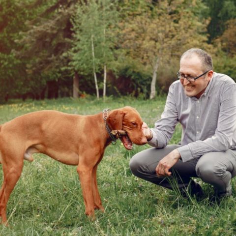 abuelito deja herencia a su perrito de la mitad de su casa