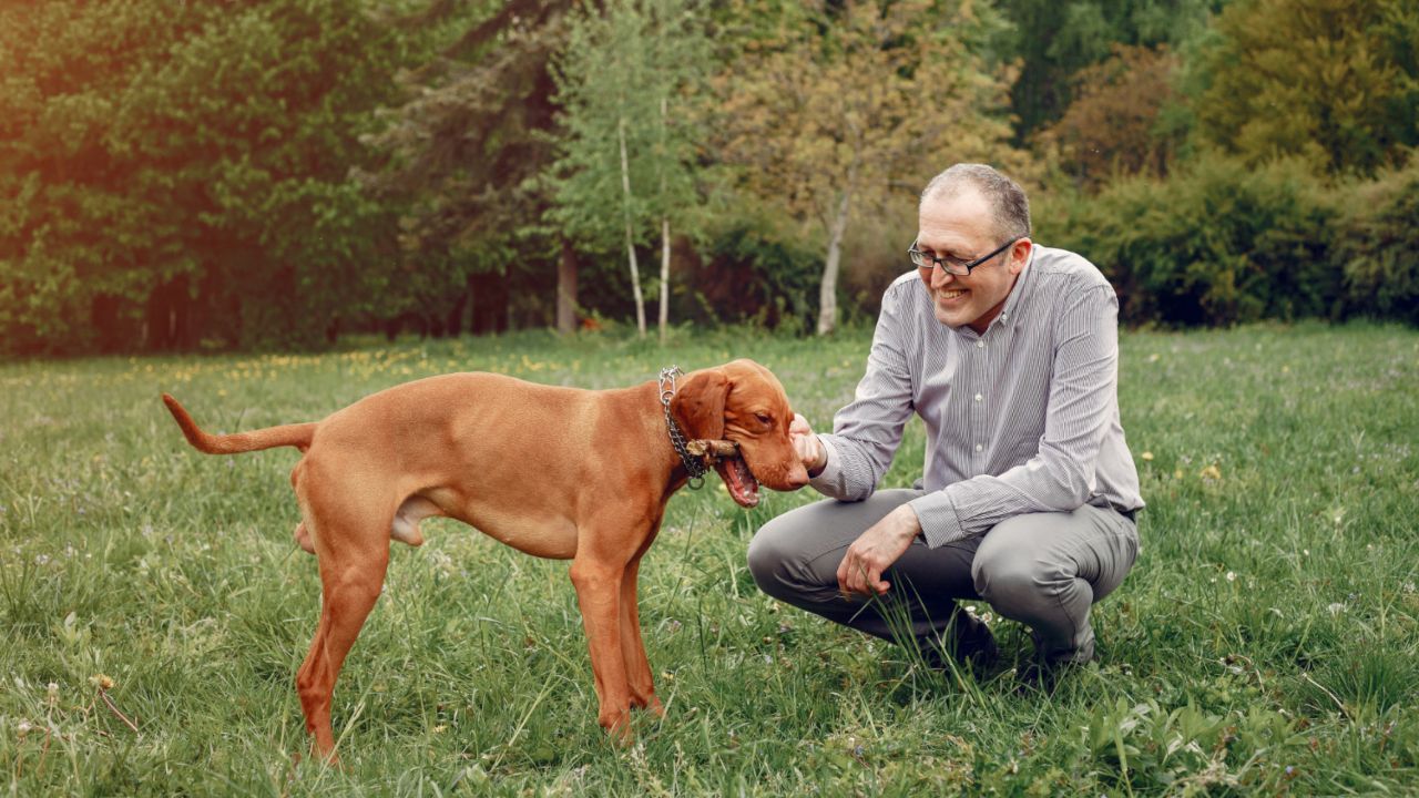 abuelito deja herencia a su perrito de la mitad de su casa