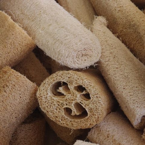 esponja luffa qué es y cuales son sus beneficios para que sirve