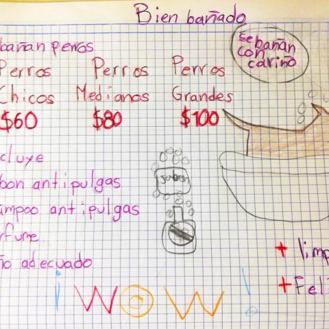 Niño baña perritos y los