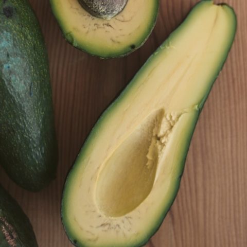 Qué fue primero la palta o el aguacate historia fruta