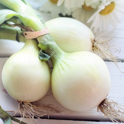 que pasa si comes cebolla cruda efectos