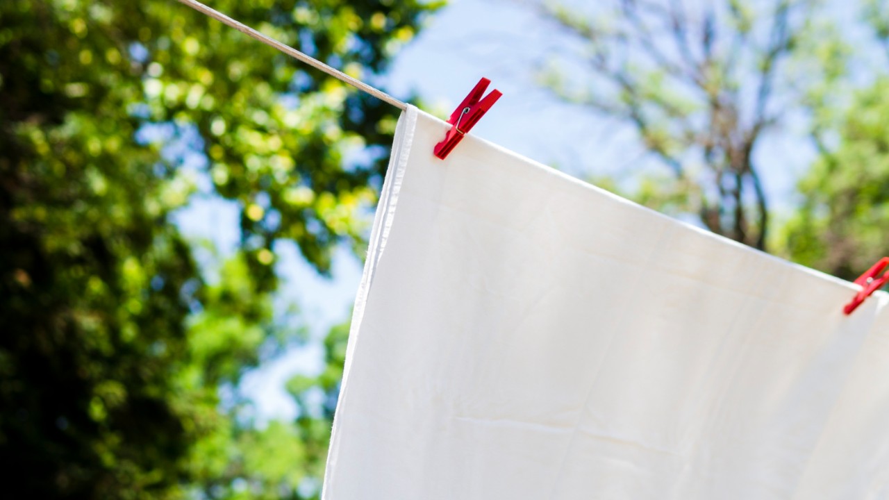cómo quitar el olor a humedad de las toallas de baño