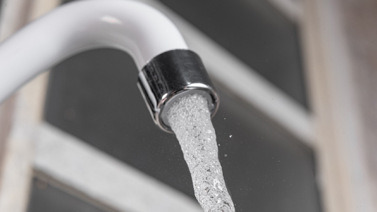 remedios caseros para evitar que plantas se pongan amarillos