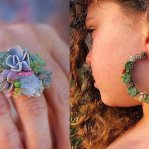 accesorios con suculentas para amantes de lasplantas