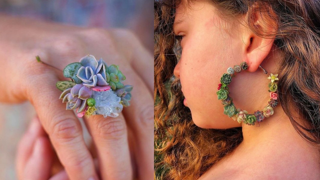 accesorios con suculentas para amantes de lasplantas