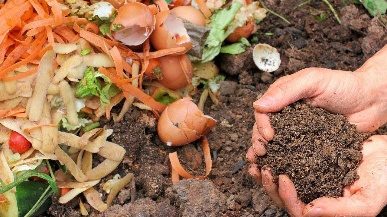 composta compost compostaje abono para plantas