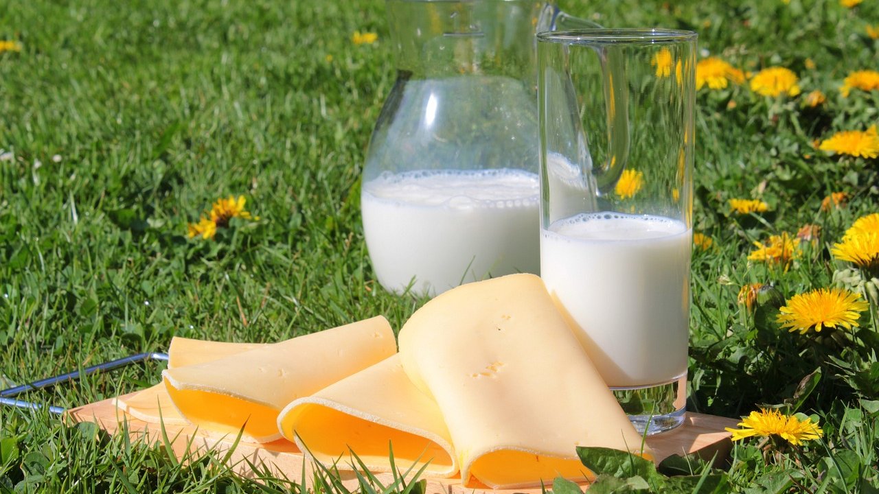 leche queso lácteos abono composta plantas