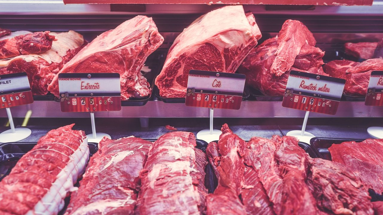 carne res pollo cerdo pescado abono plantas