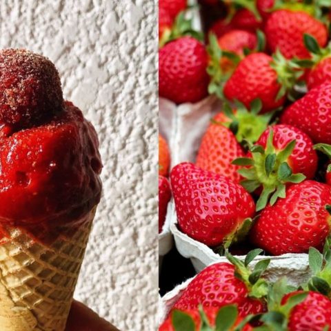 como hacer helado de picafresa nieve receta