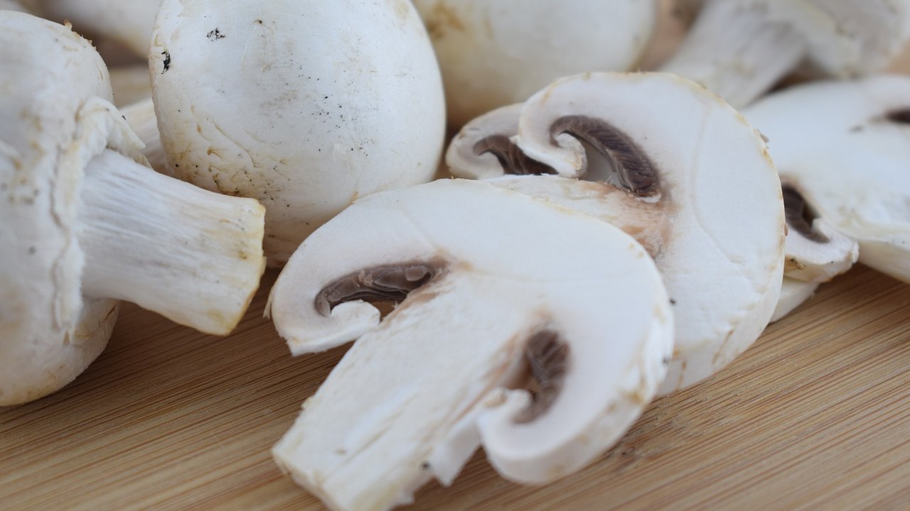 como lavar setas hongos limpiar desinfectar