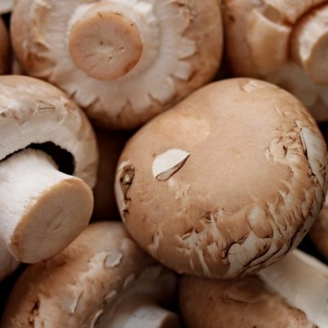 como limpiar y desinfectar champiñones hongos lavar