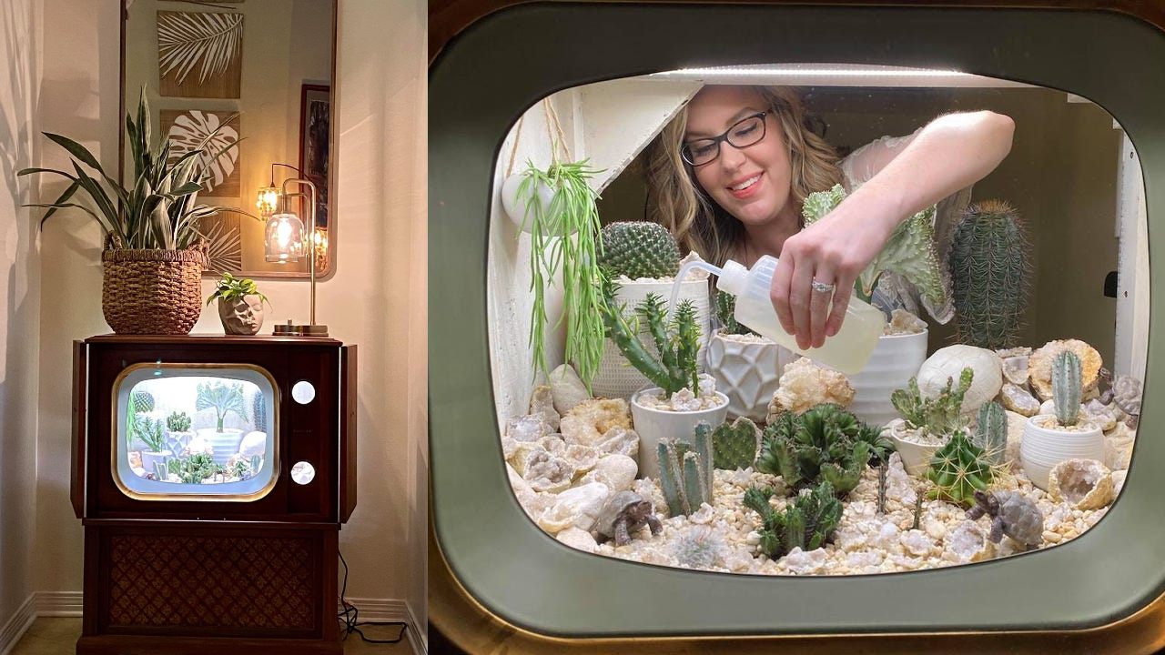 convirtio su televisión en terrario terrarium tarrah schiller