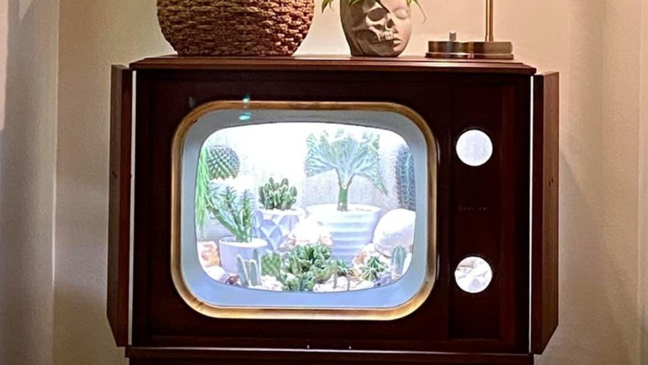 convirtio su televisión en terrario retro
