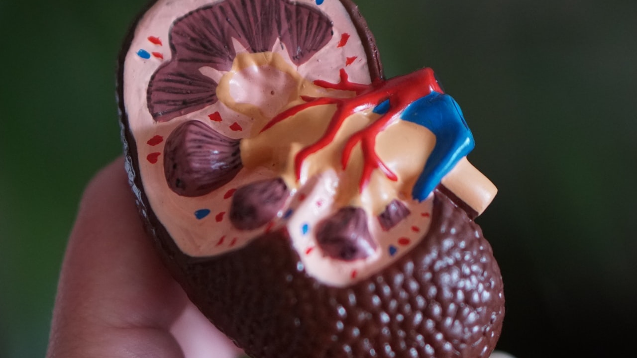 alimentos y bebidas dañan tus riñones