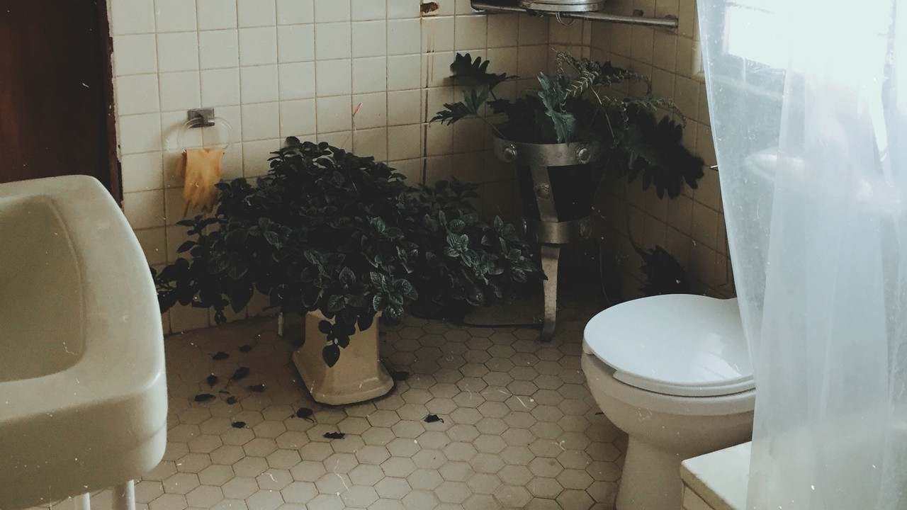 mezclas caseras para eliminar malos olores consejos