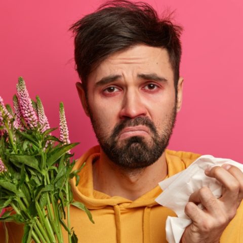 como evitar alergias de primavera en casa salud