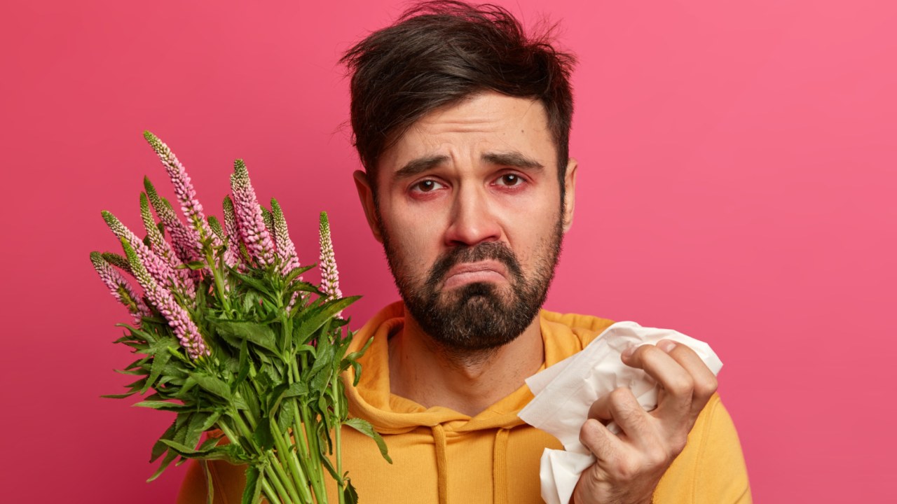 como evitar alergias de primavera en casa salud