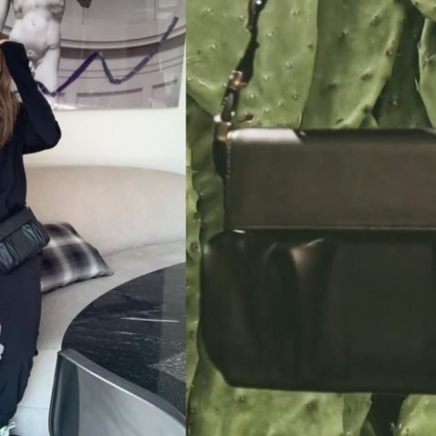 critican anna sarelly linea de bolsos