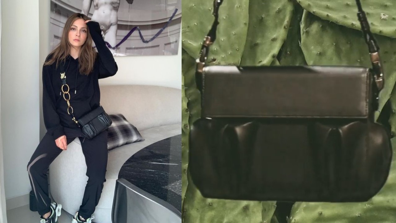 critican anna sarelly linea de bolsos