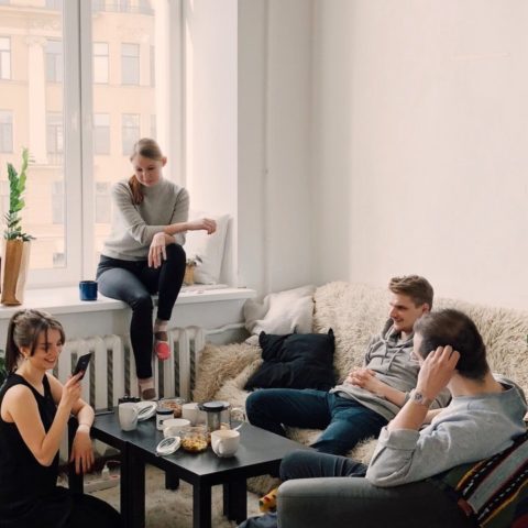 plantas interior absorber humedad mejorar ambiente casa