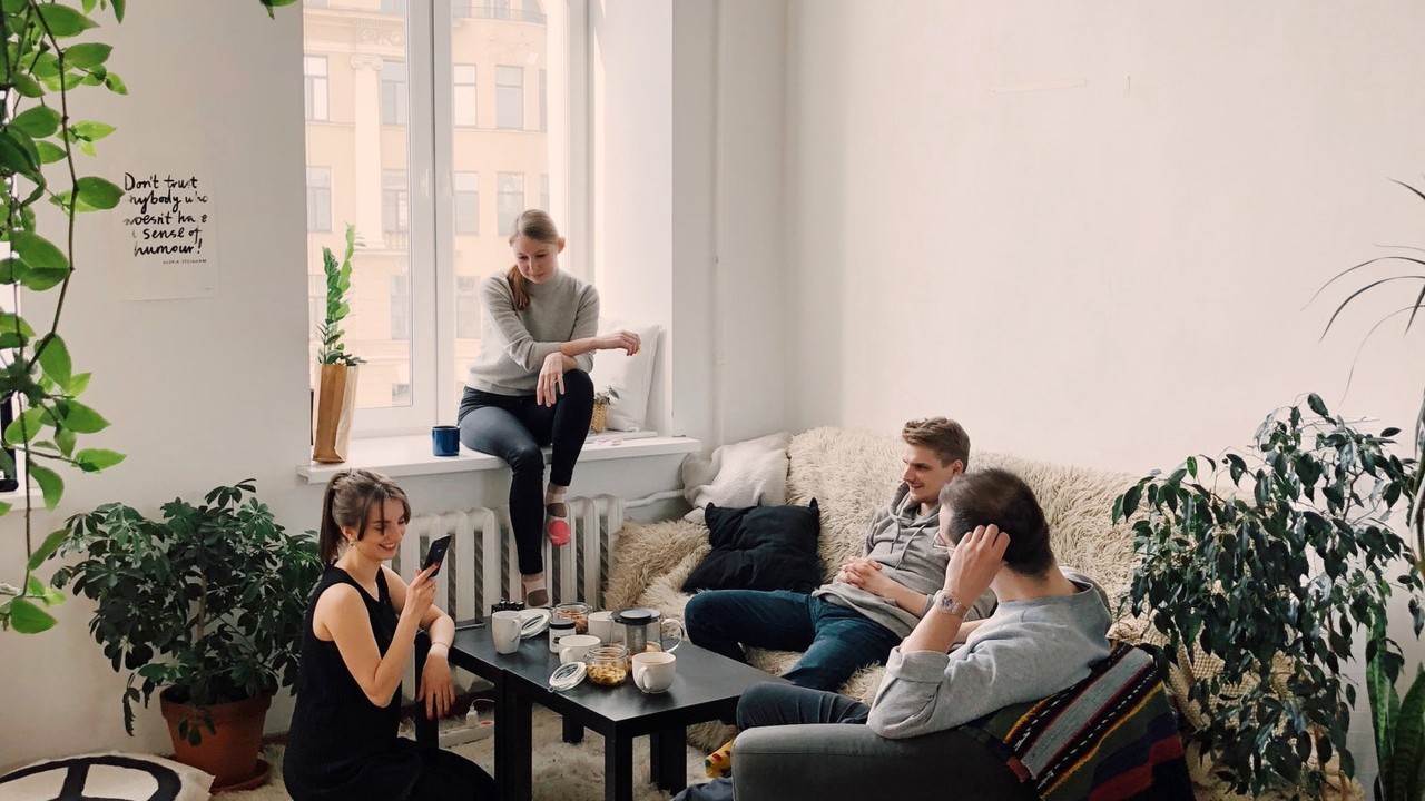 plantas interior absorber humedad mejorar ambiente casa