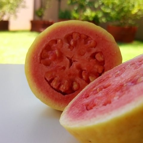 que pasa si comes guayaba todos los dias beneficios para la salud