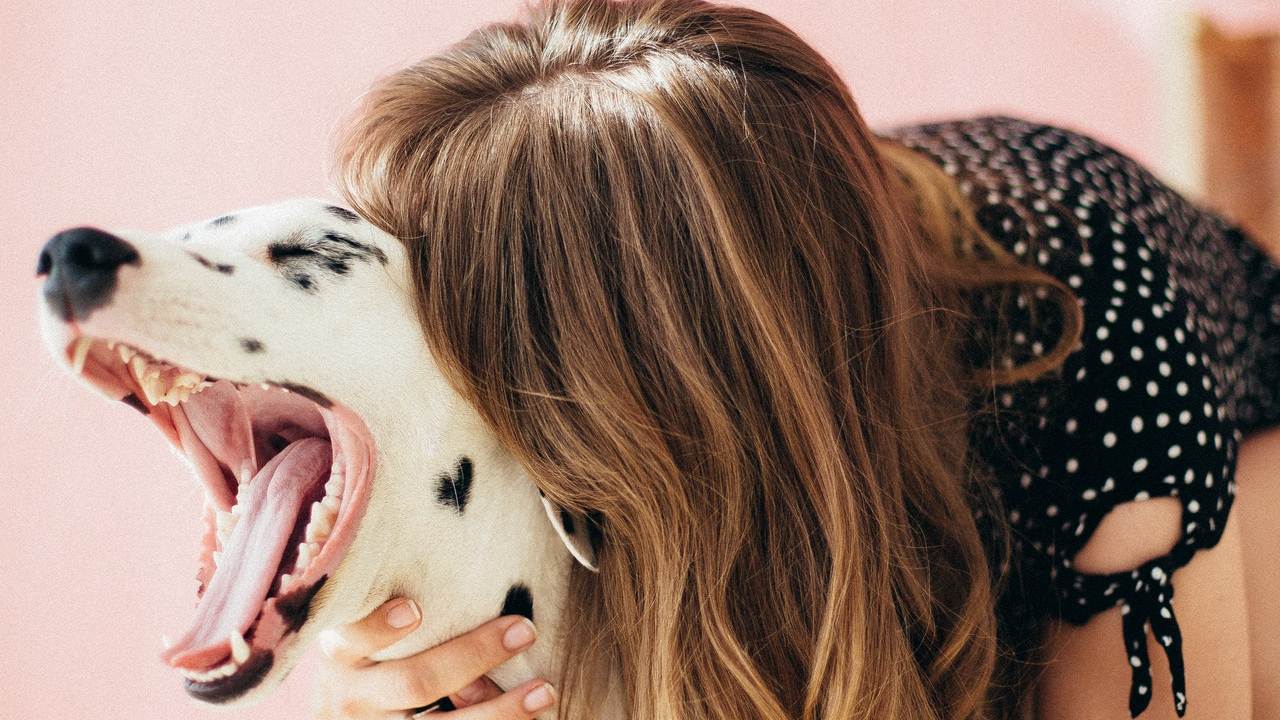 que hacer cuando tu mascota se ahoga consejos prácticos