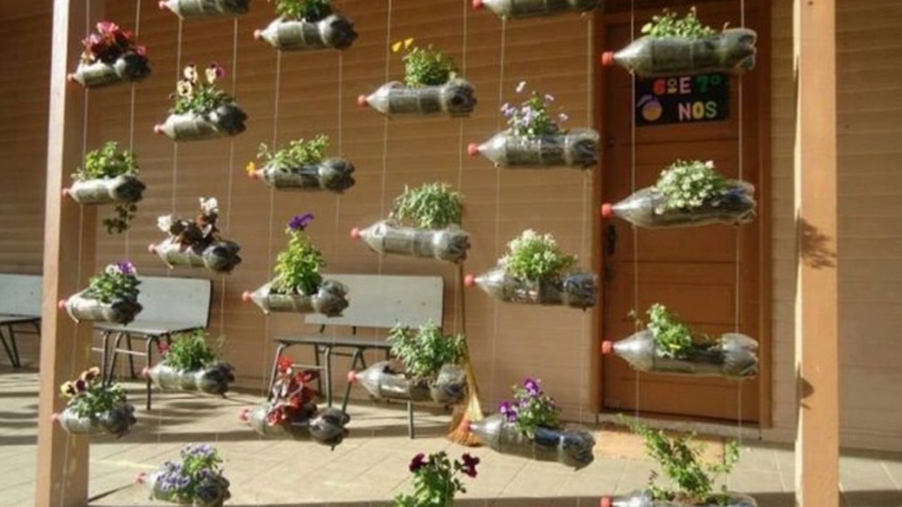 que puedes cultivar en botellas de plástico recomendaciones