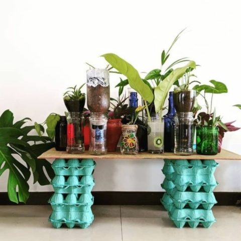 que puedes cultivar en botellas de plástico fruts y verduras