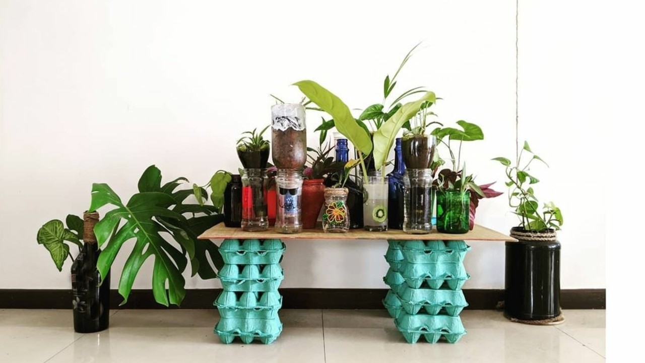 que puedes cultivar en botellas de plástico fruts y verduras