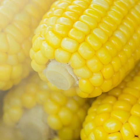 como cocer elotes rapido facil que quede tierno