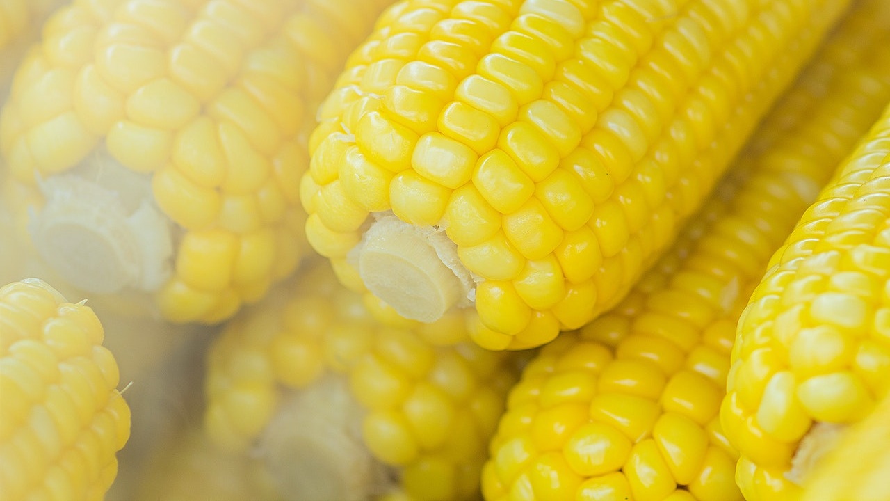 como cocer elotes rapido facil que quede tierno