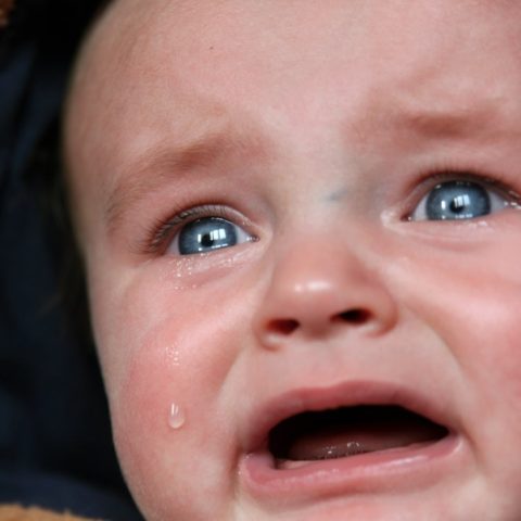 bebe se despierta mucho por las noches estudio