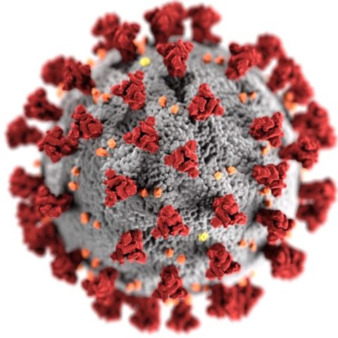 luz ultravioleta capaz de erradicar coronavirus