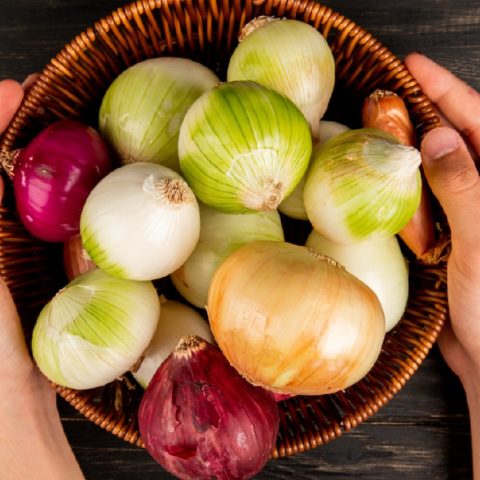 como conservar las cebollas por más tiempo frescas