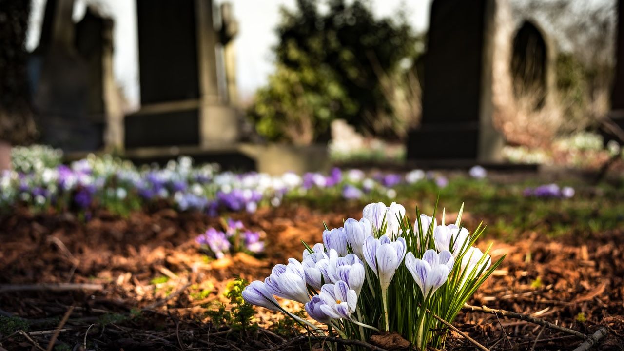 consejo de un papá tras la muerte de su hijo