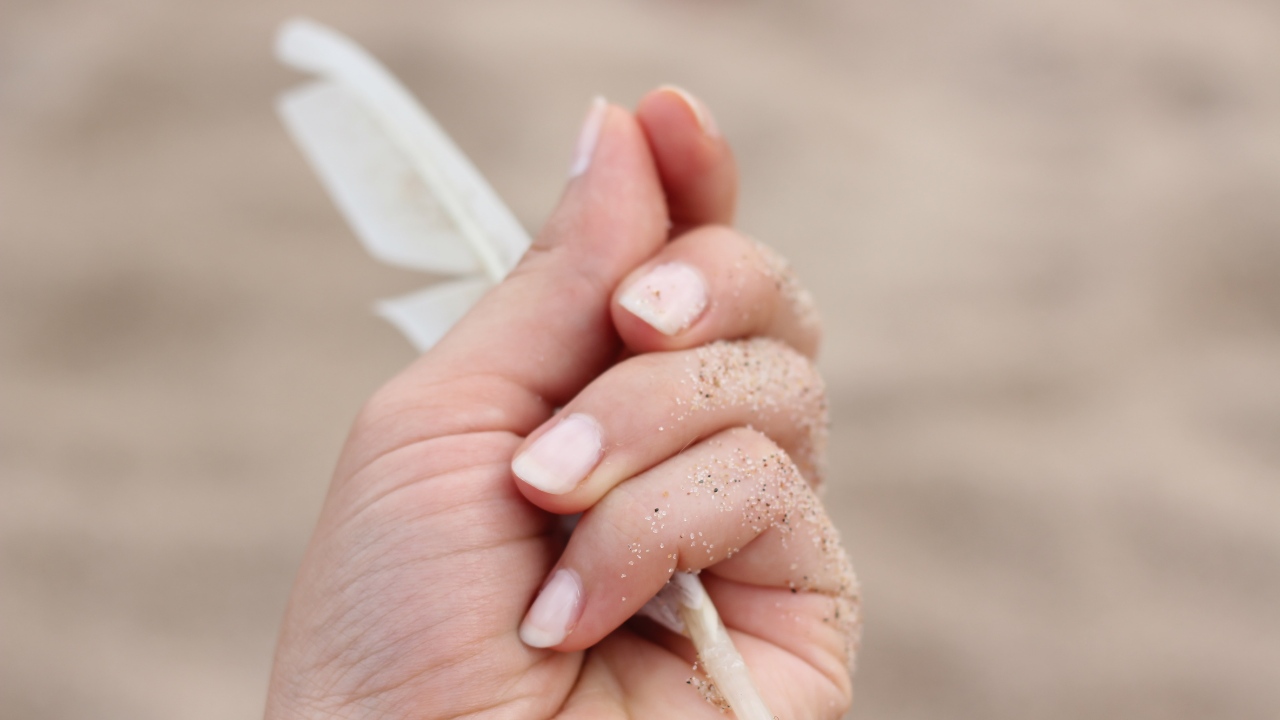 significado espiritual de encontrar pluma blanca