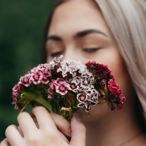 flores aromáticas que necesitas para tu jardín dentro de casa