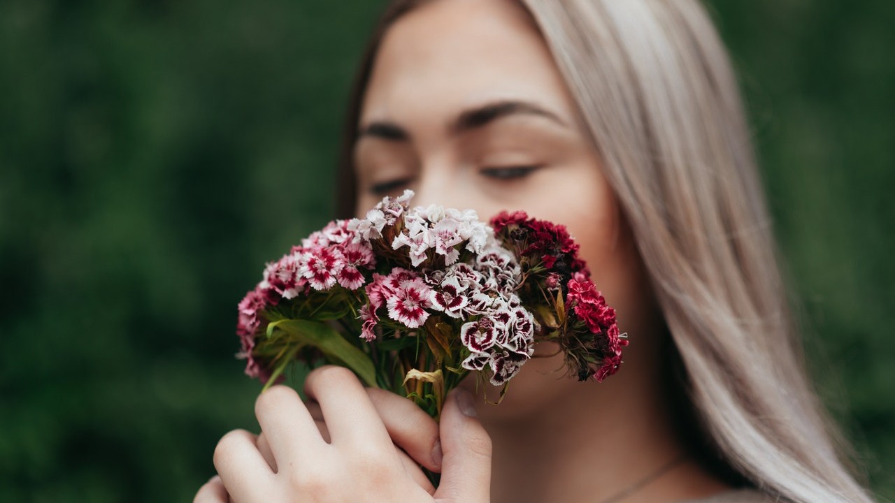 flores aromáticas que necesitas para tu jardín dentro de casa
