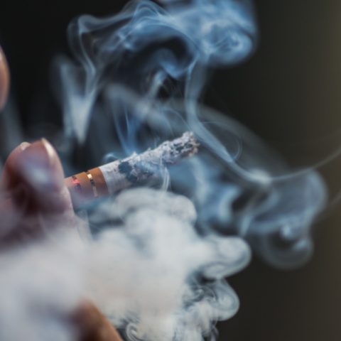 fumas cerca de tu mascota peligros