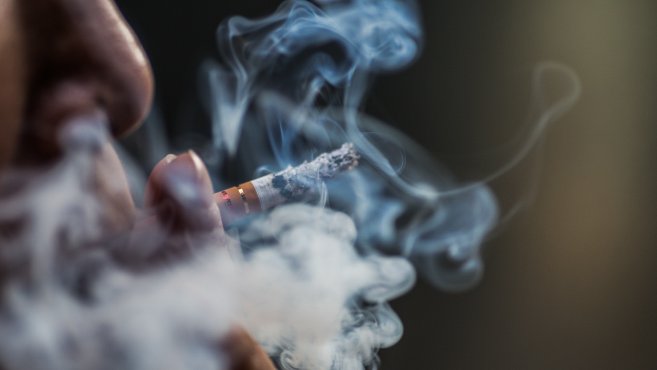 fumas cerca de tu mascota peligros