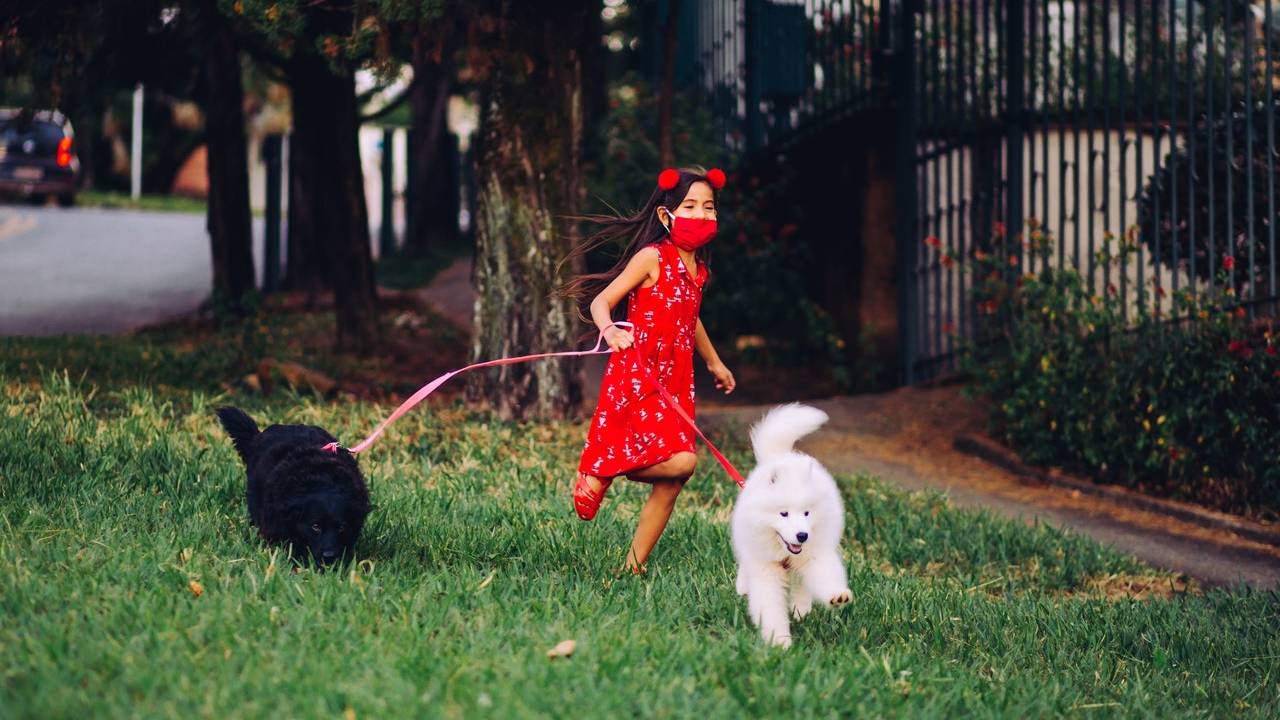 Cientificos descubren nuevo coronavirus nueva cepa