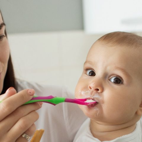 no le des carne molida a tu bebe razones