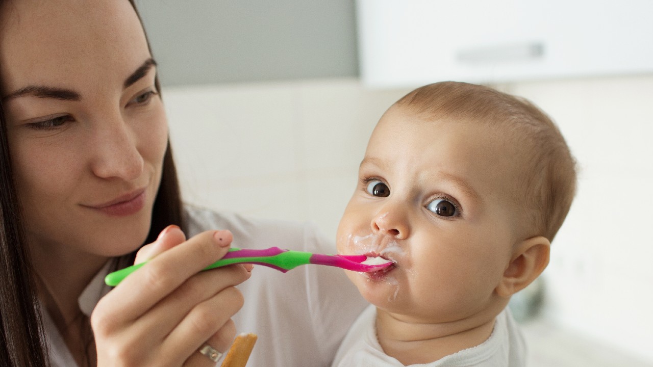 no le des carne molida a tu bebe razones