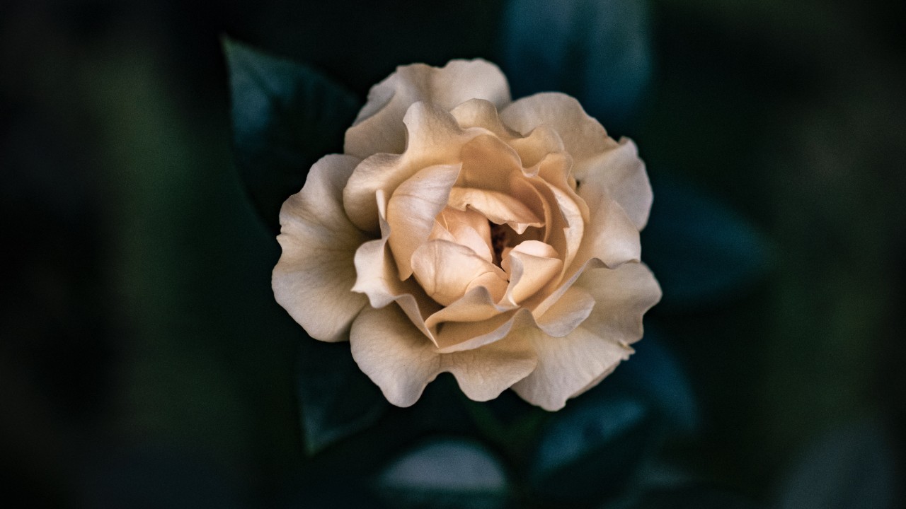 cómo sé si tengo que alinear los chakras