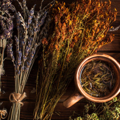 Limpia Espiritual Ritual Plantas Hierbas Flores