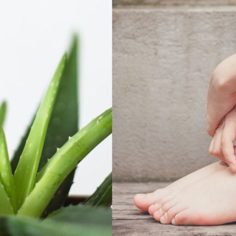 como quitar el mal olor de los pies