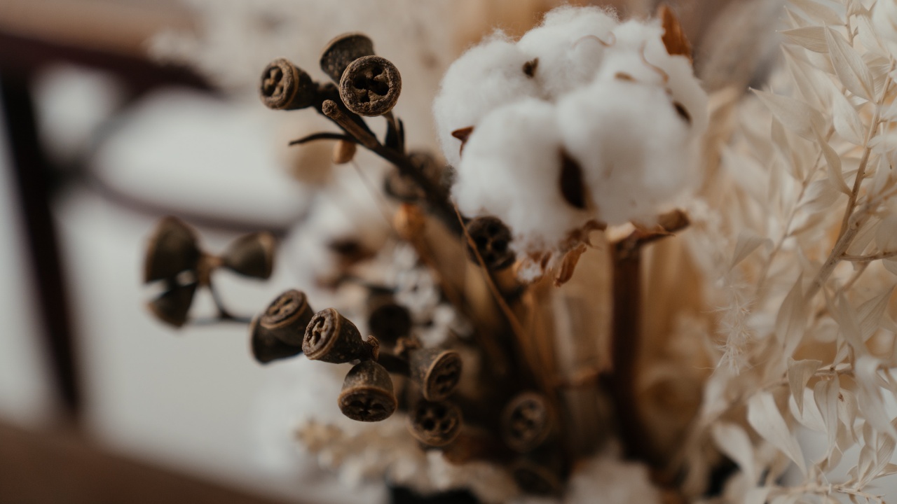 flores secas afuera de tu casa que significa