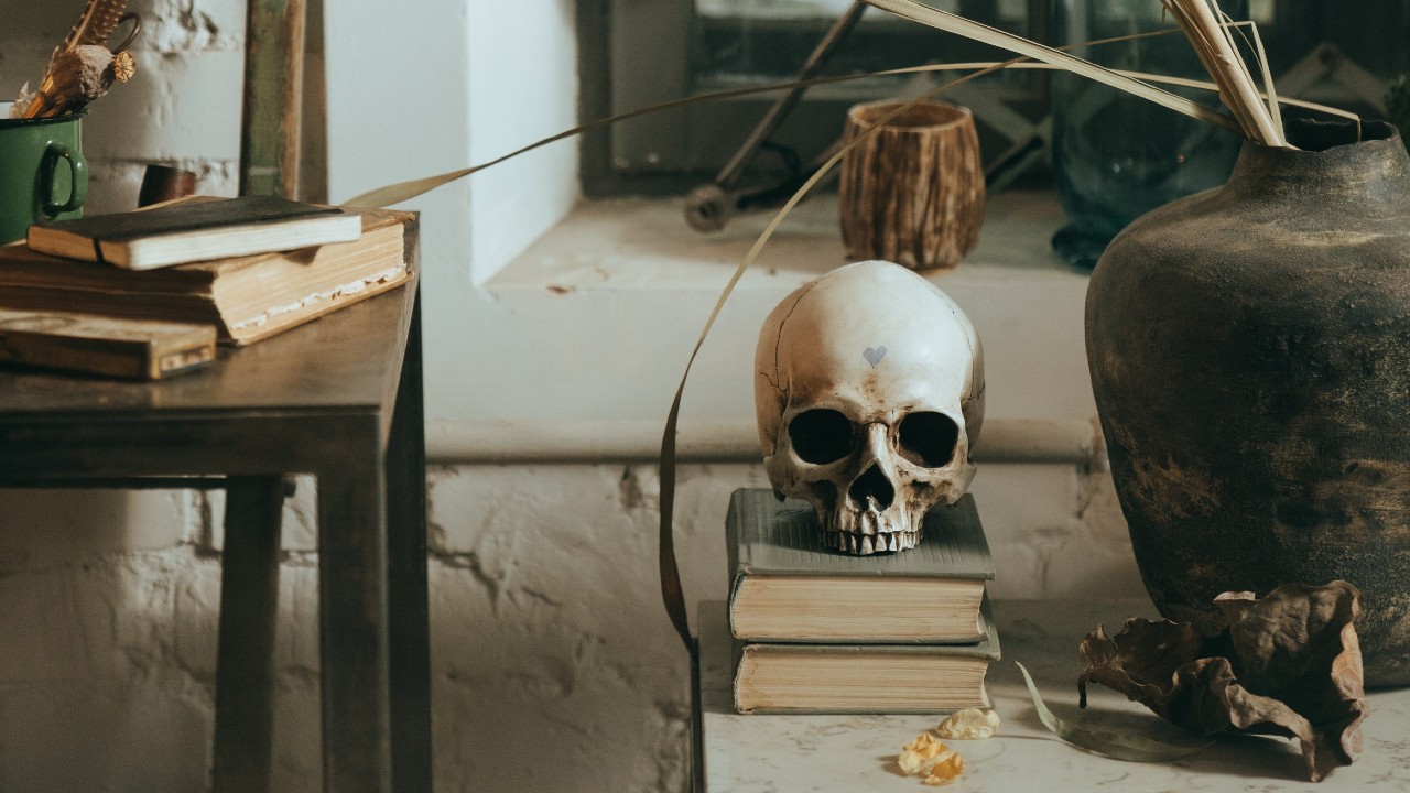 que hago si encuentro flores secas afuera de casa